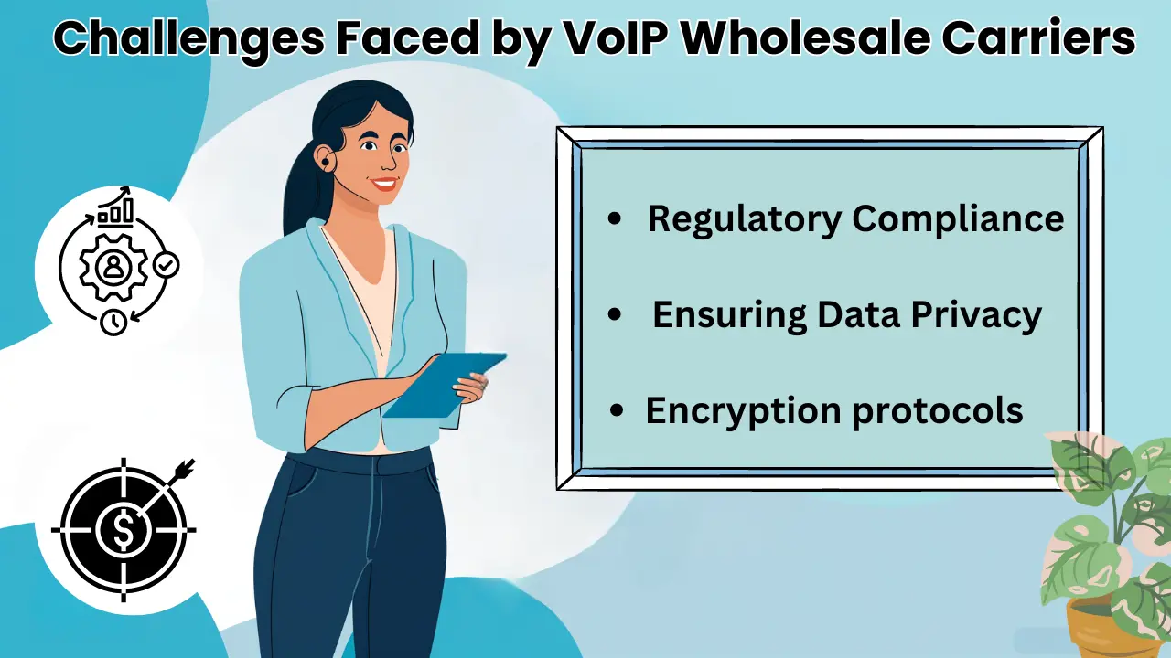Challenges Faced by VoIP Wholesale Carriers