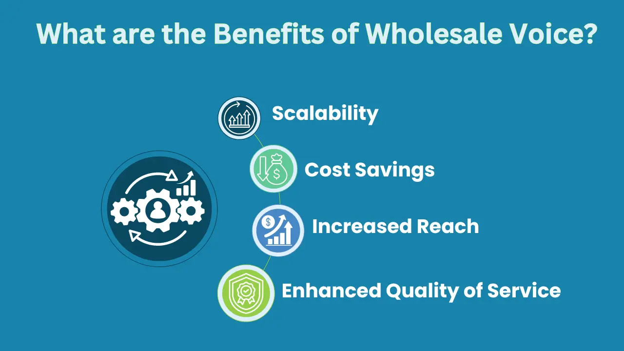 What are the Benefits of Wholesale Voice?