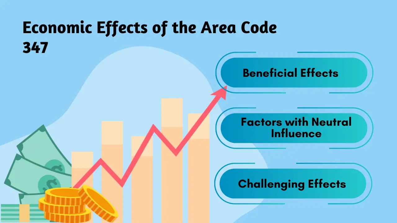 Economic Effects of the Area Code 347